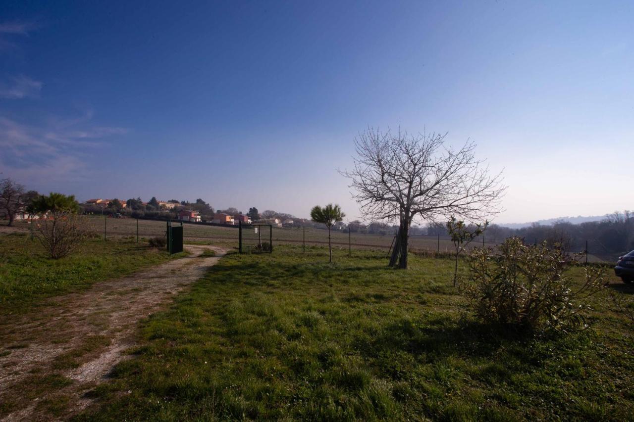 Appartamento S209 - Sirolo, nuovissimo bilocale con portico pt Esterno foto